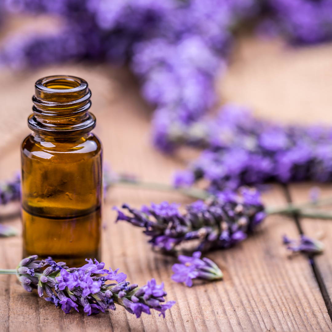 What Essential Oil Helps Back Pain Yuregen